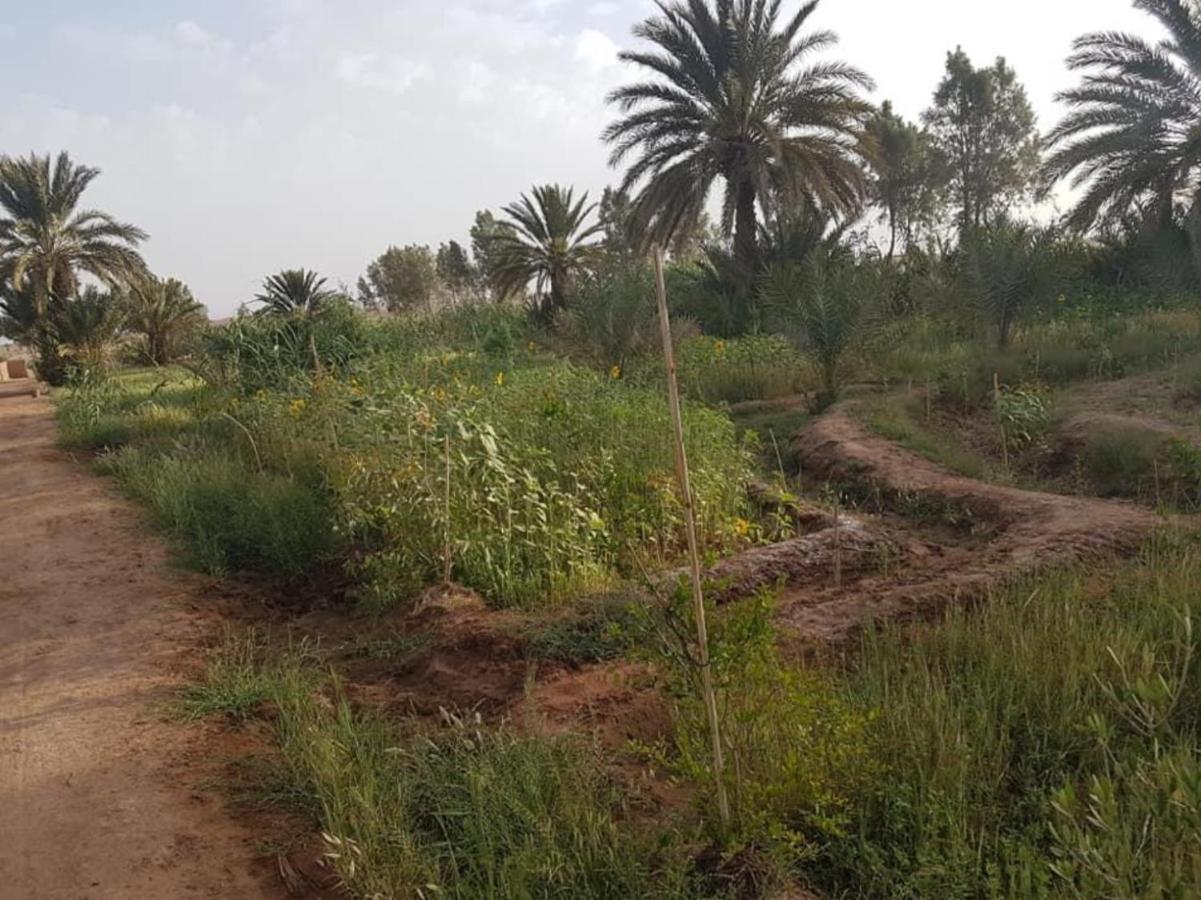 מלון מחמיד Chez Madani מראה חיצוני תמונה